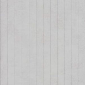 CASADECO Rollo Ref 80810236 PRAGUE RAYURE BLANC